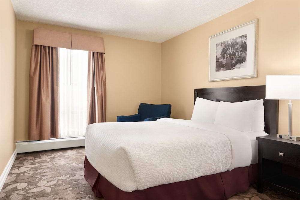 Executive Queen Apartment Suite