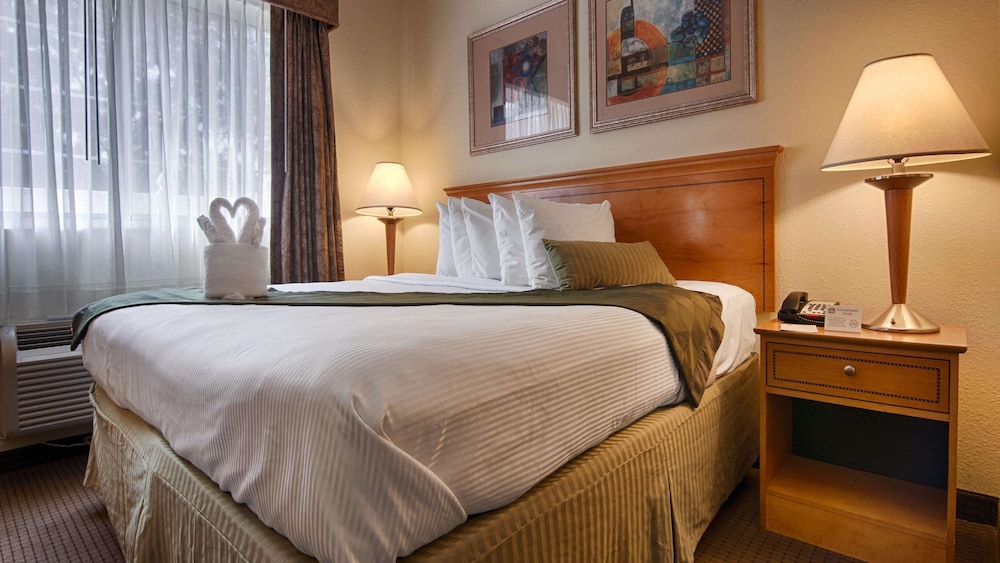 Suite, 1 King Bed, Accessible, Non Smoking (with Sofabed) - Photo 1