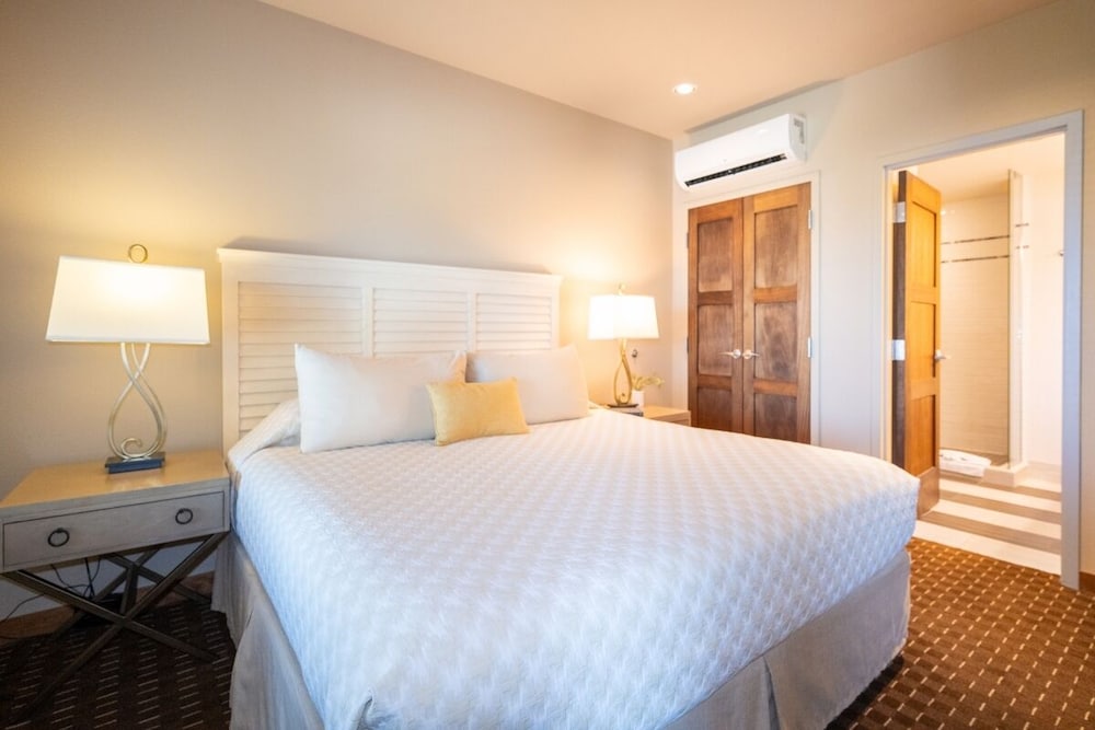 Parkview King Suite photo 2