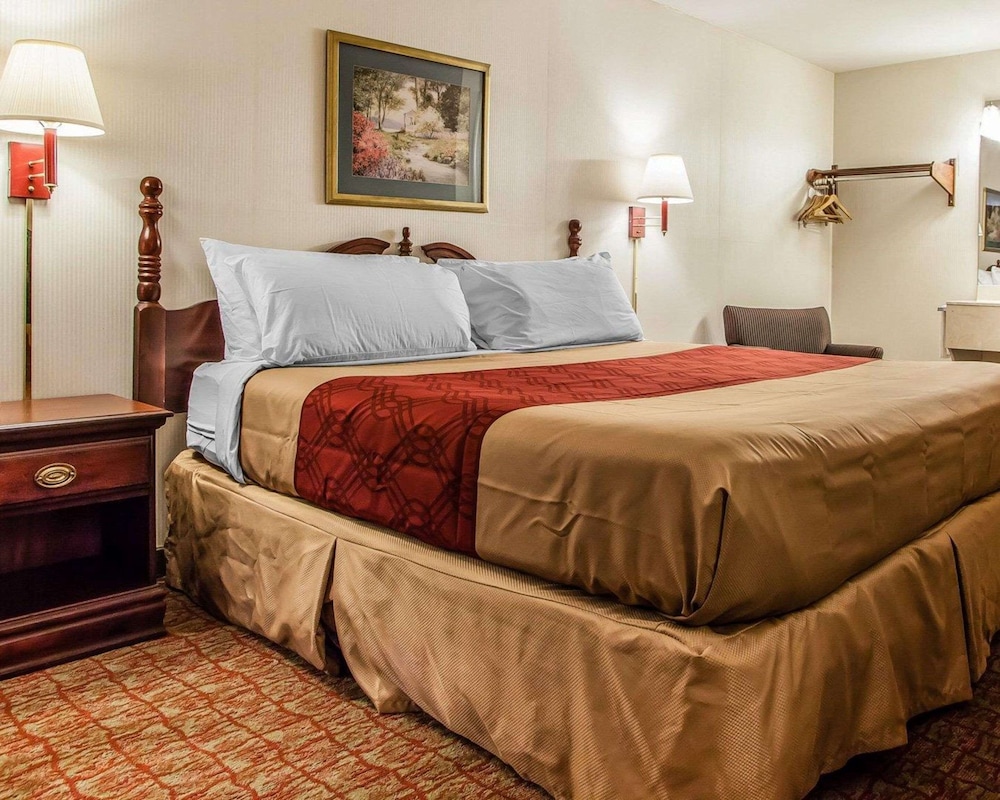 Standard Room, 1 King Bed, Non Smoking - Photo 7