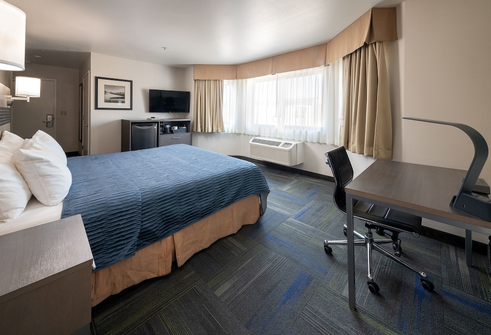 Room, 1 King Bed, Non Smoking