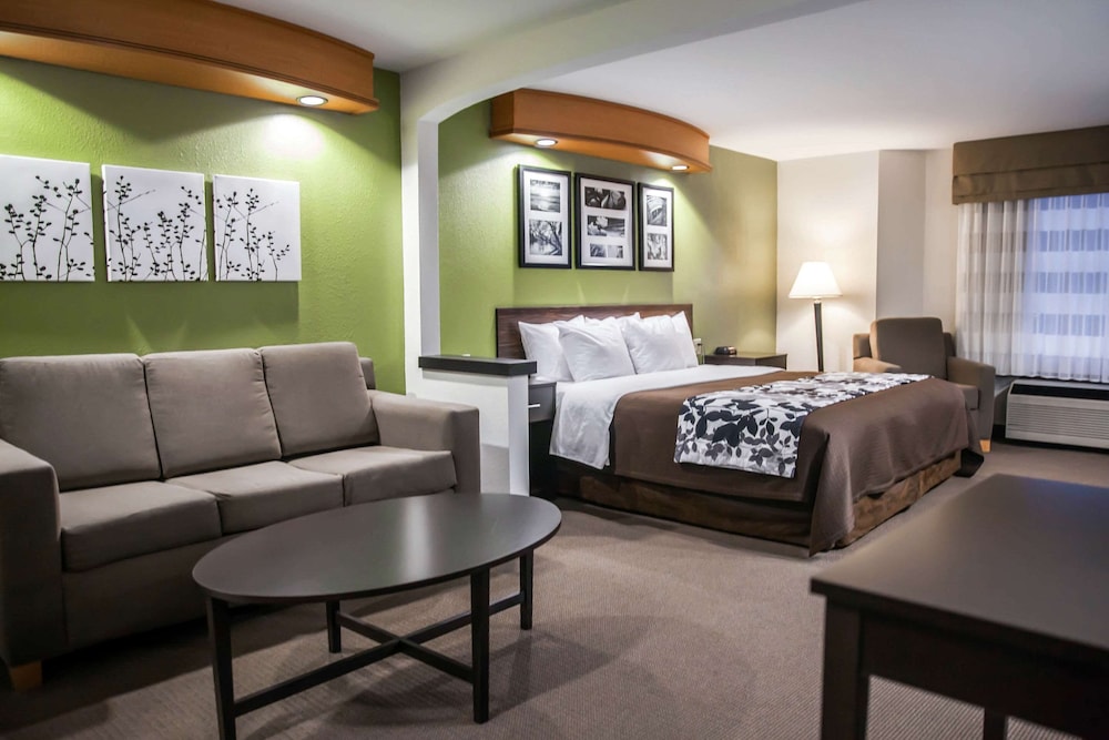 Suite, 1 King Bed with Sofa bed, Accessible, Non Smoking photo 2