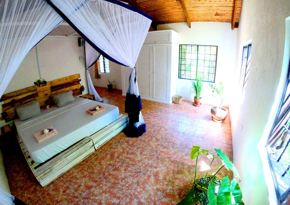 Superior Room, Sea View