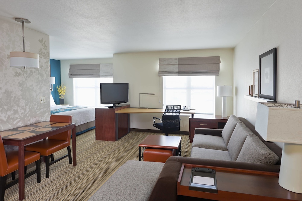 Studio, 1 King Bed With Sofa Bed (Mobility Accessible, Tub) - Photo 2