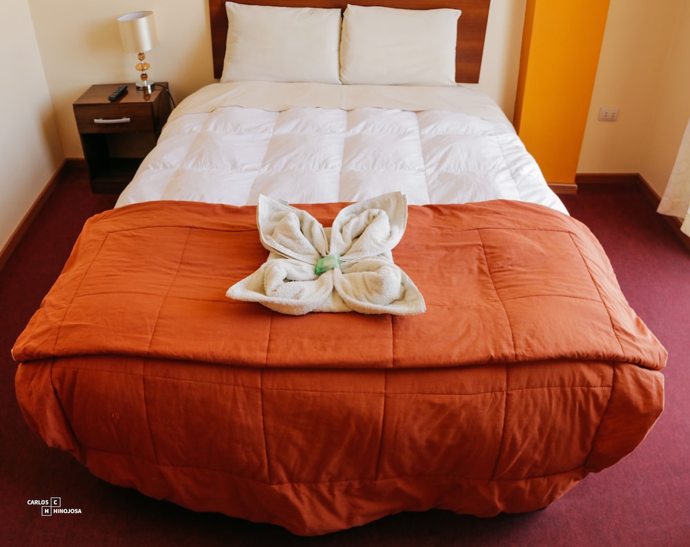 Single Room photo 2