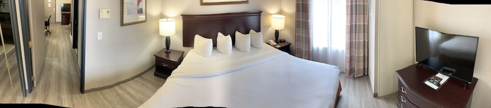 Suite, 1 King Bed with Sofa bed, Non Smoking (1 Kingbed) - Photo 2