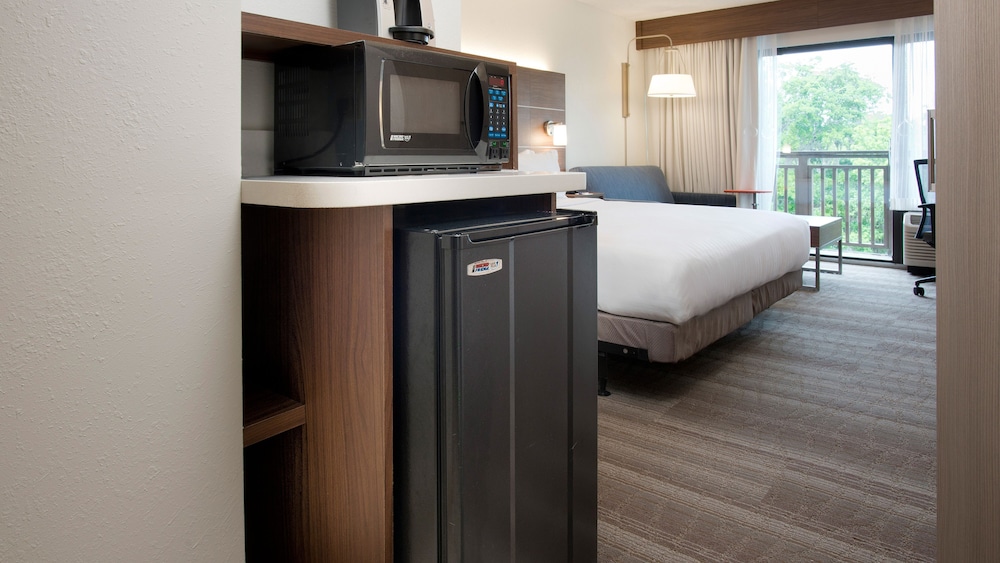 Standard Room, 1 King Bed, Pool View (Walk-In Shower)