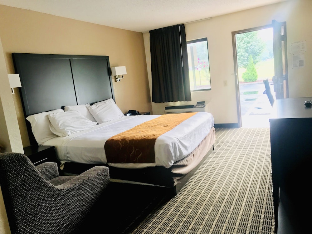 Room, 1 King Bed, Non Smoking