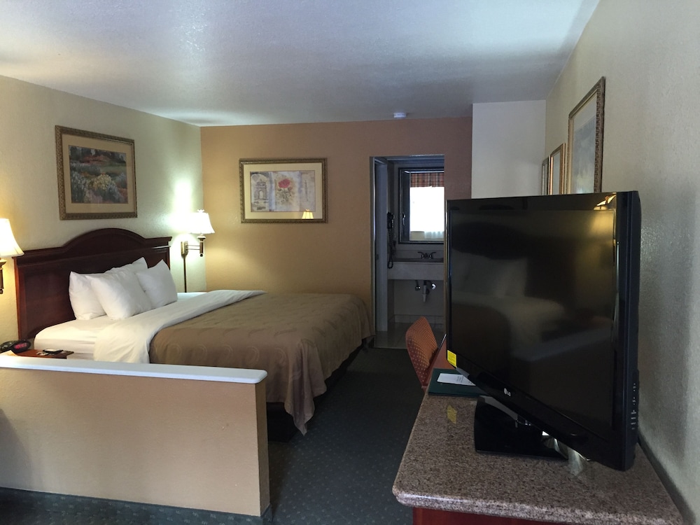 Suite, 1 King Bed with Sofa bed, Non Smoking - Photo 9
