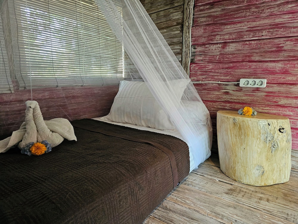 Standard Single Room photo 2
