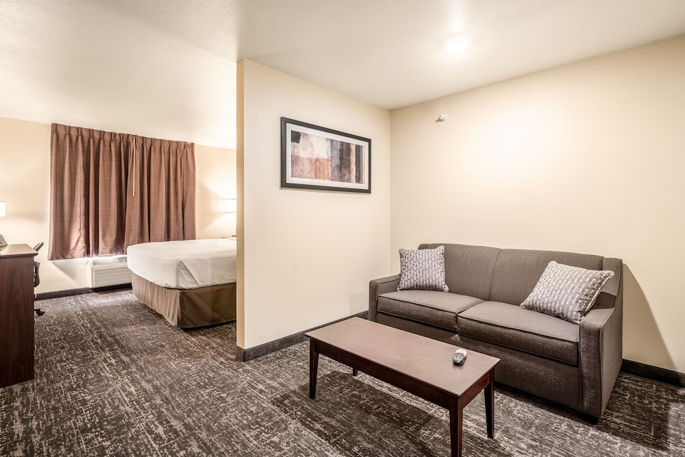 Studio Suite, 1 King Bed with Sofa bed, Accessible, Non Smoking (Audible/Visual) - Photo 3