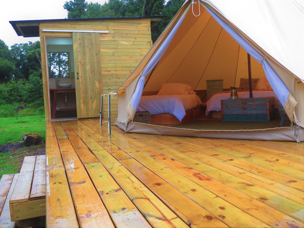 Premium Tent, Multiple Beds photo 1