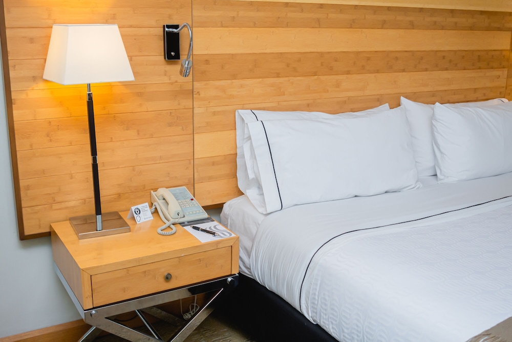 Junior Suite King - Photo 5