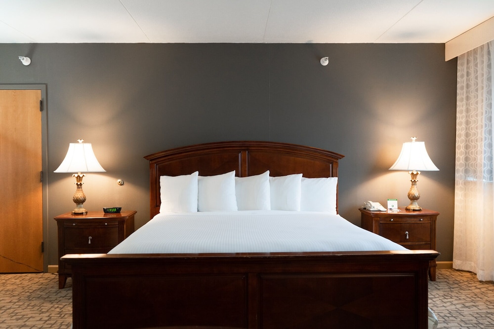 Room (King Bed) - Photo 7