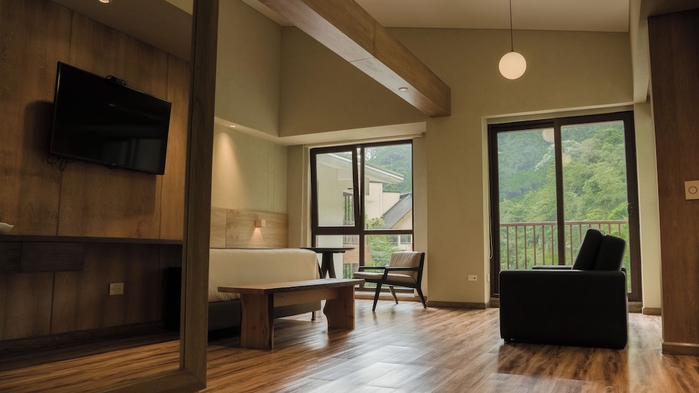 Premium Suite, 1 King Bed with Sofa bed, Private Bathroom