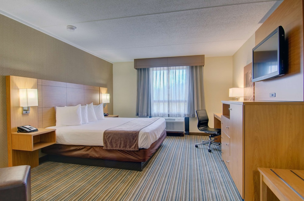Deluxe Room, 1 King Bed, Non Smoking, Refrigerator & Microwave - Photo 3