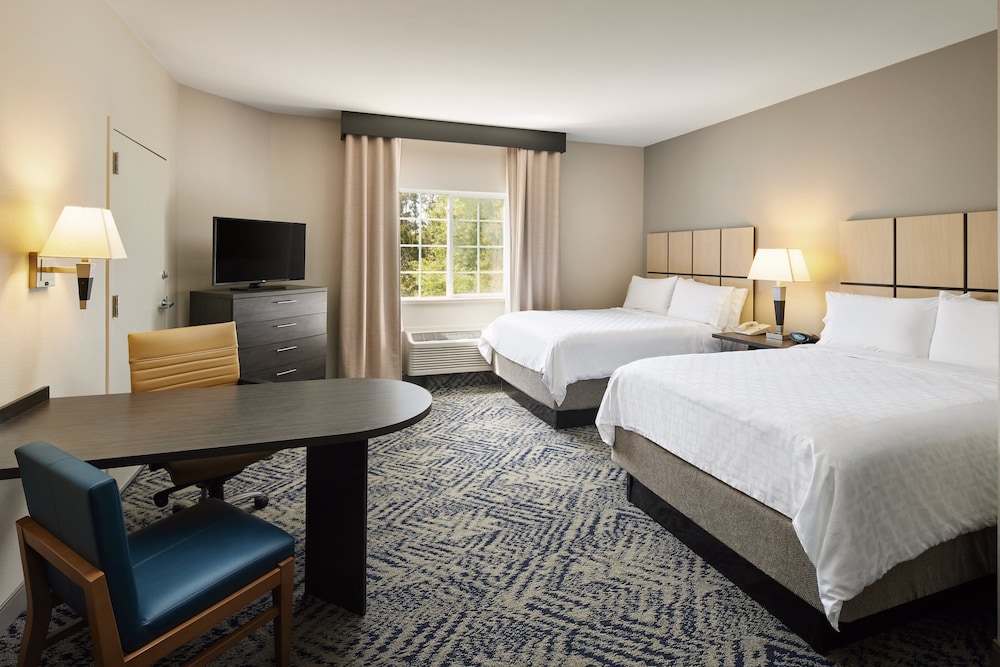 Studio Suite, 2 Double Beds - Photo 2