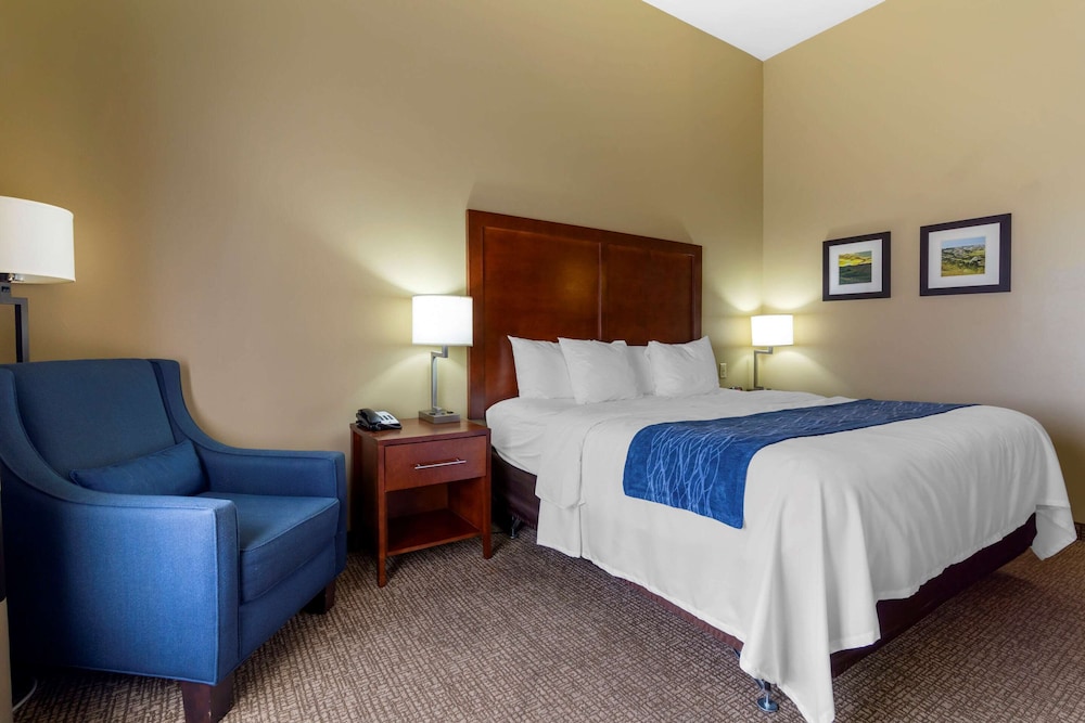 Room, 1 King Bed, Accessible, Non Smoking photo 2