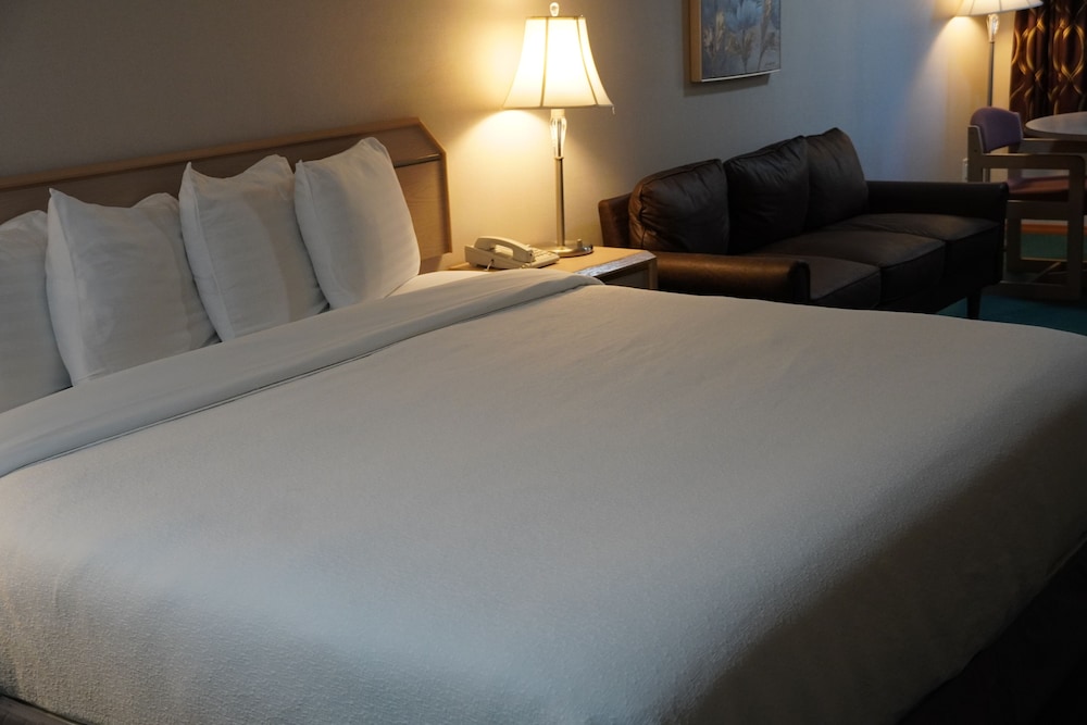 Deluxe Room, 1 King Bed, Non Smoking, Hot Tub photo 1