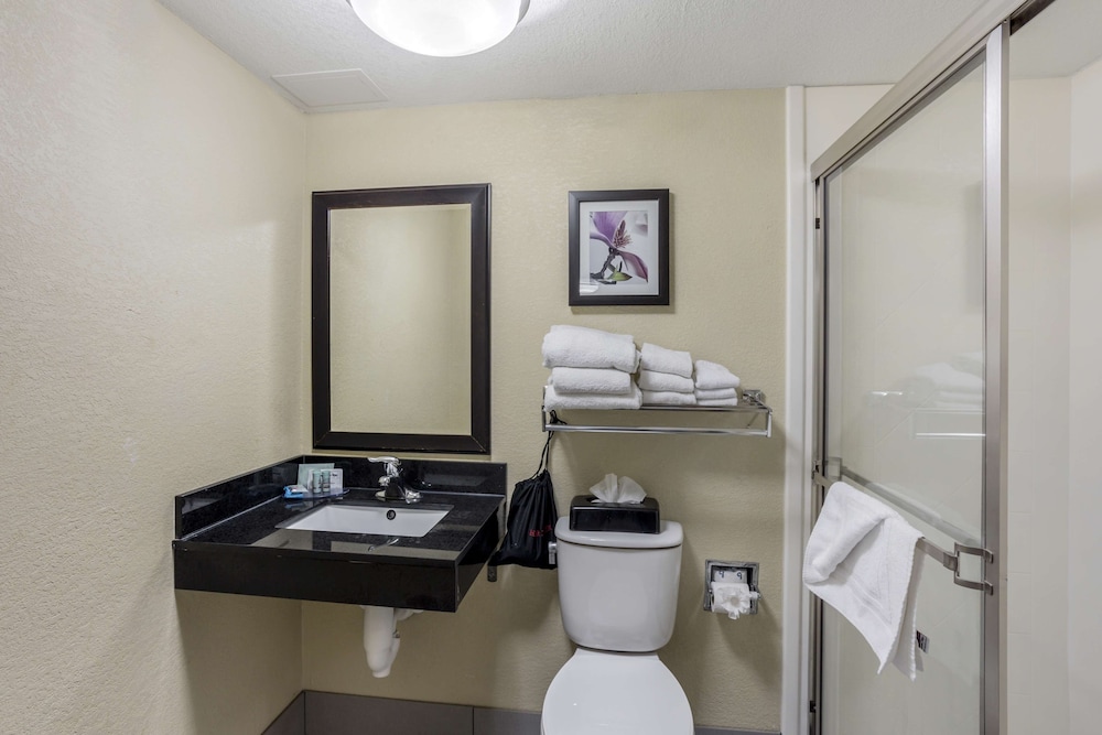 Standard Room, 1 King Bed, Non Smoking, Microwave (with Sofabed) - Photo 4