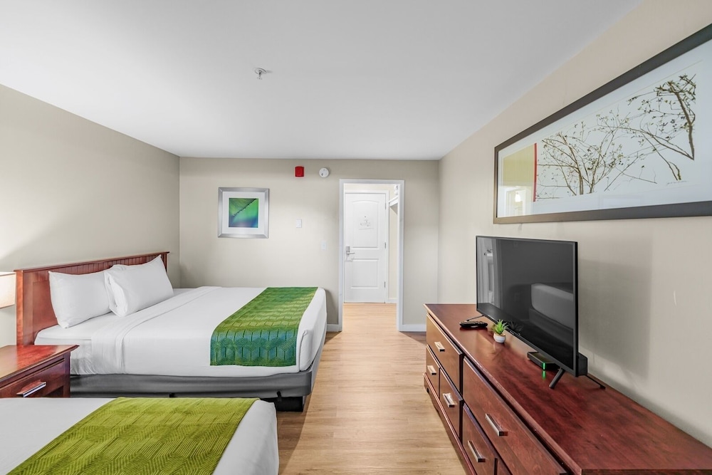 Basic Double Room photo 2