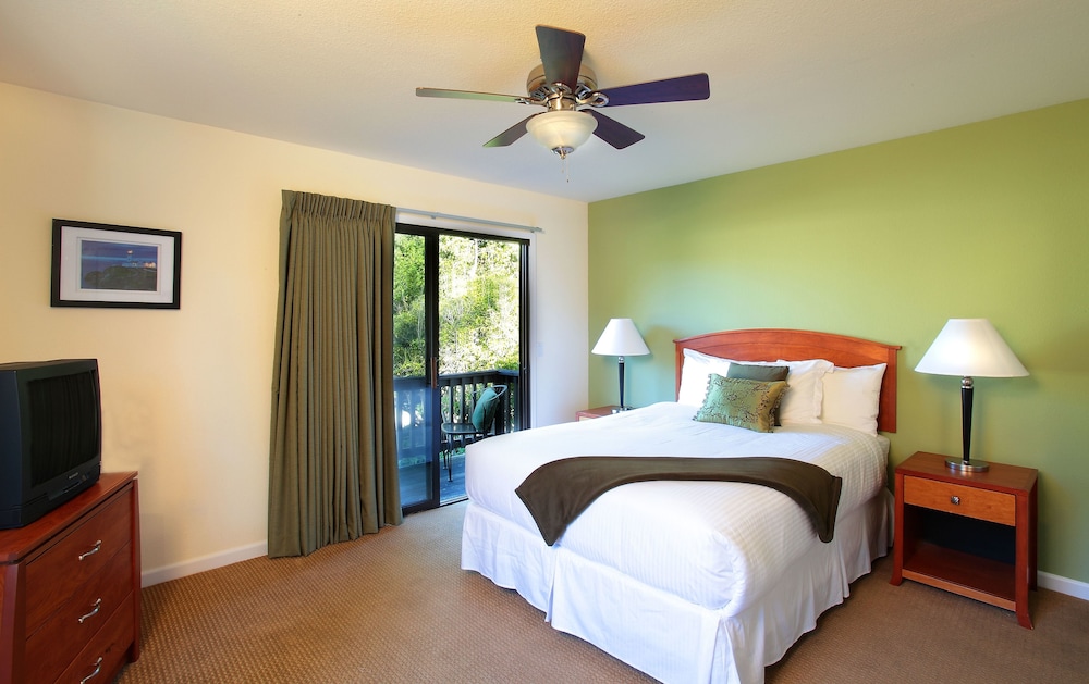 Standard Room, 1 Queen Bed (Vineyard)