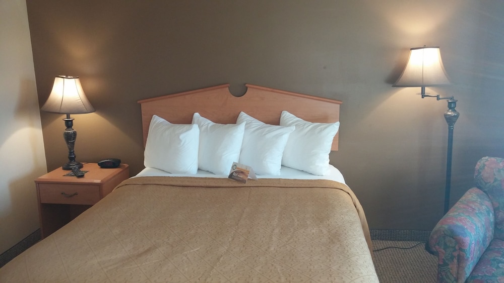 Room, 1 Queen Bed photo 2