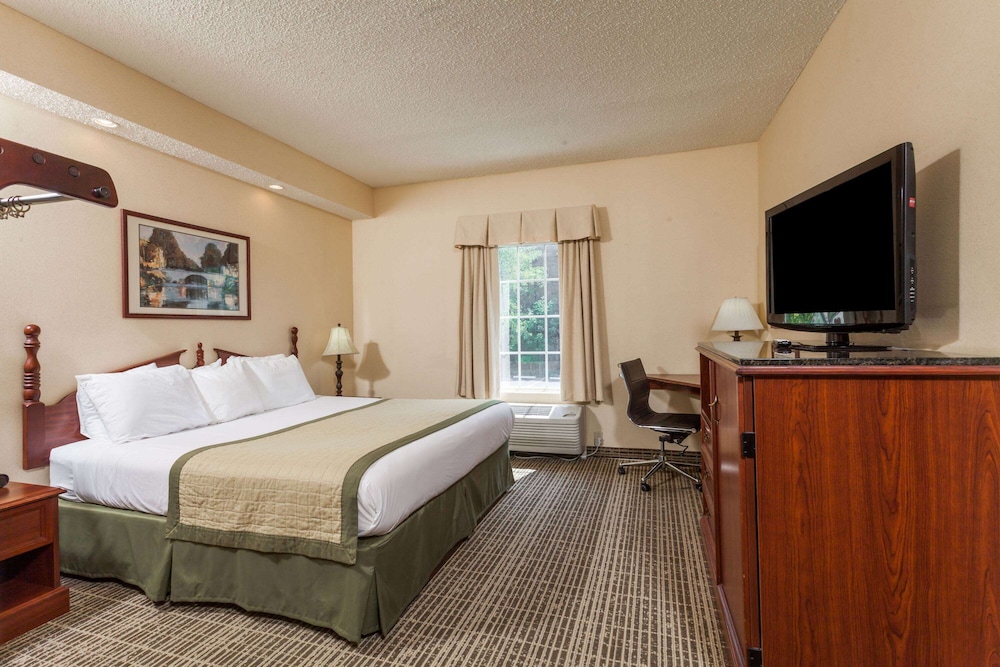 Room, 1 King Bed, Non Smoking - Photo 1