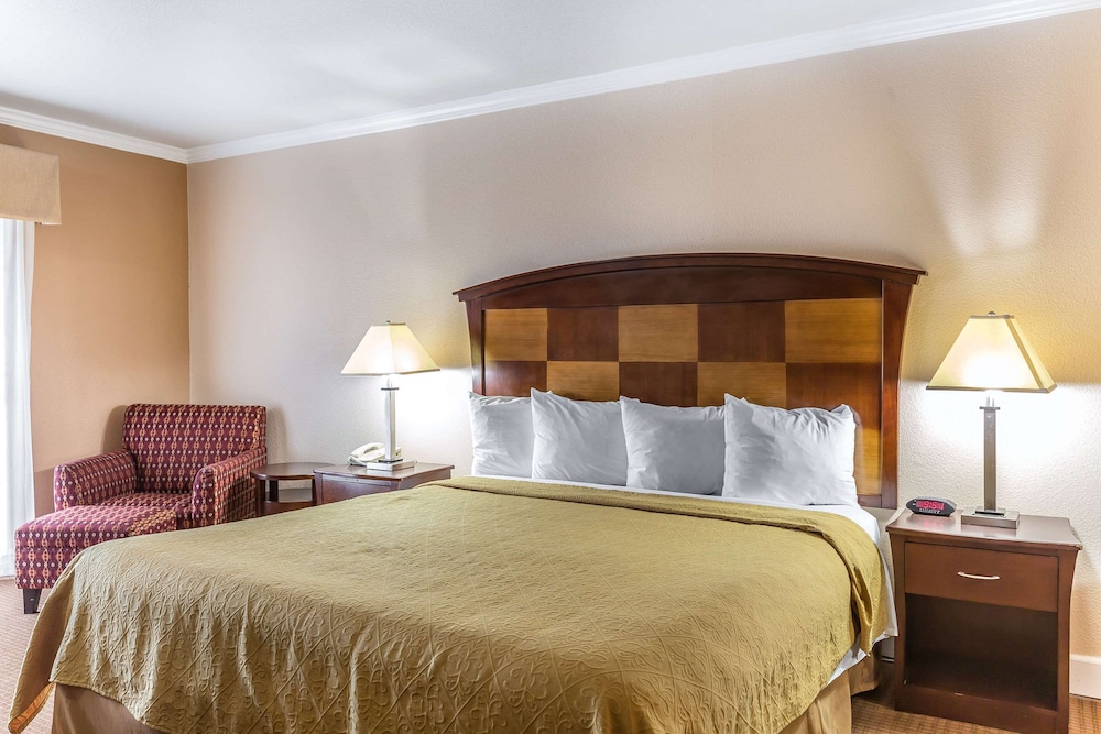 Standard Room, 1 King Bed with Sofa bed, Non Smoking