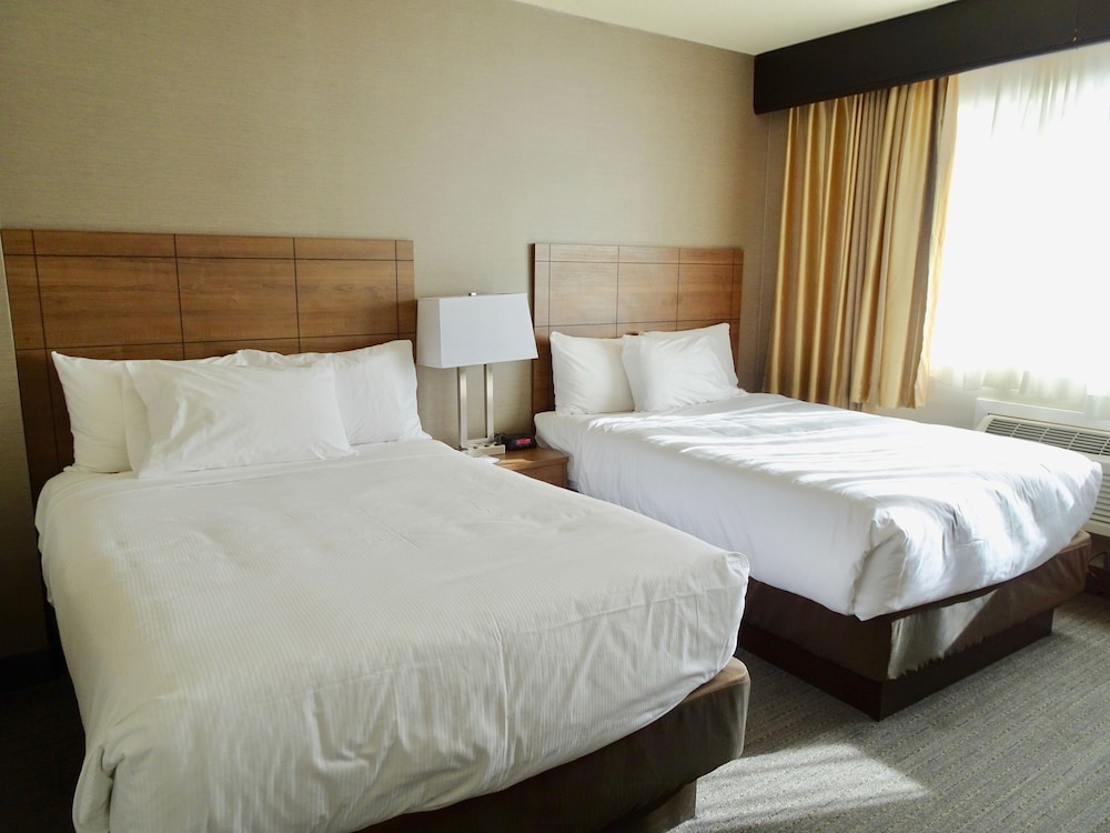 Quadruple Room, 2 Queen Beds - Photo 3