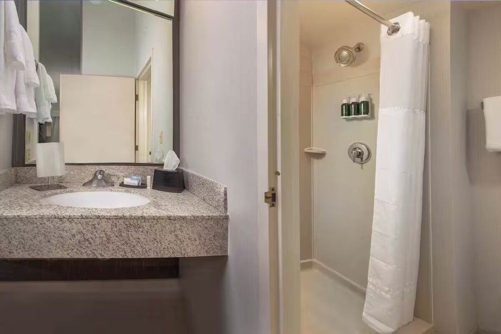 1 King Bed, Accessible, Non-Smoking