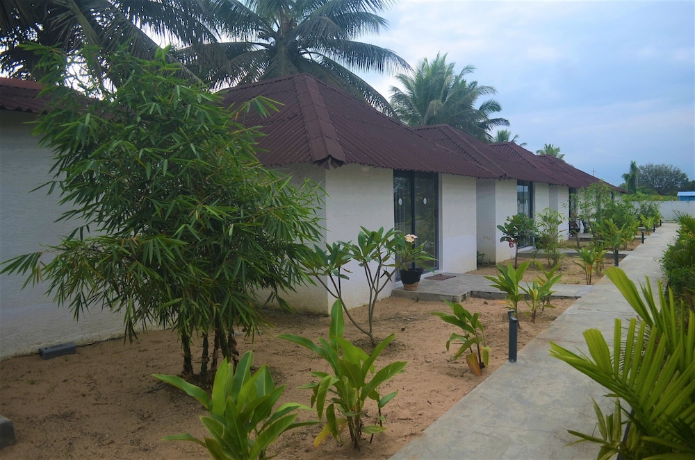 Deluxe Room - Photo 9