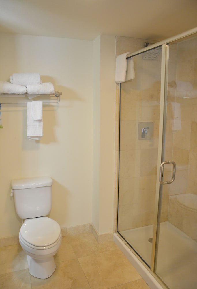 Deluxe Suite, 1 Bedroom, Non Smoking (1 King Bed, Top Floor) - Photo 6