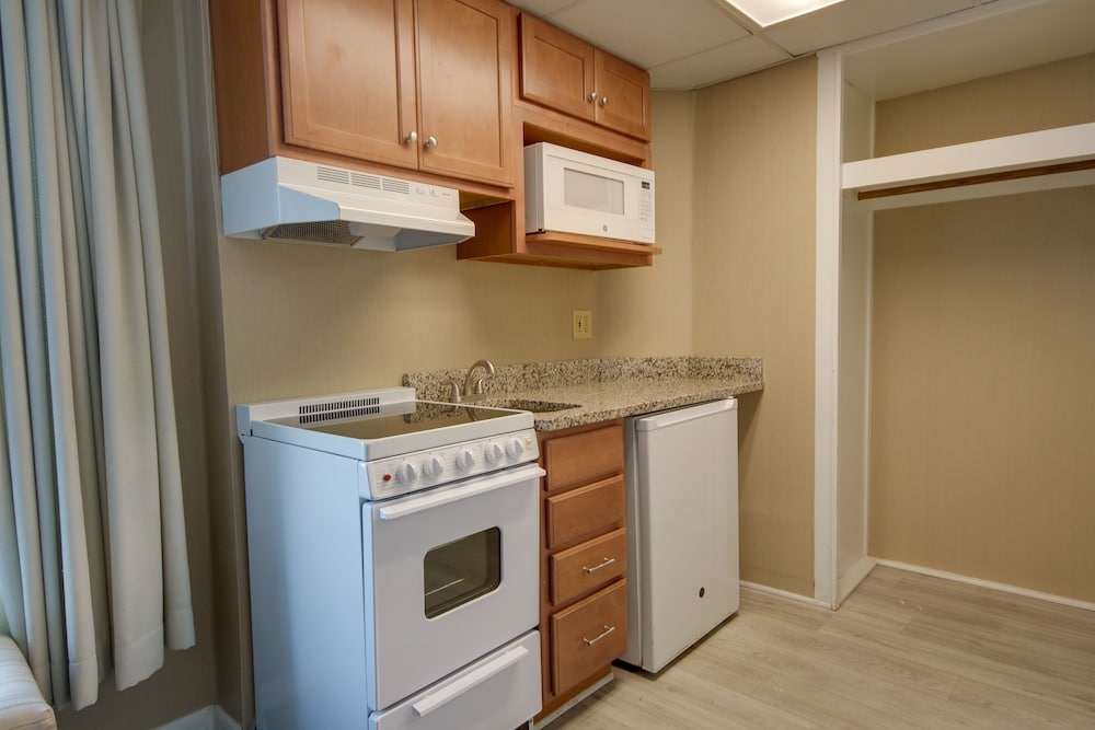 Room, 2 Queens and 1 Sofa Bed, Kitchenette  (Waverley Bayside Efficiency) No Balcony photo 3