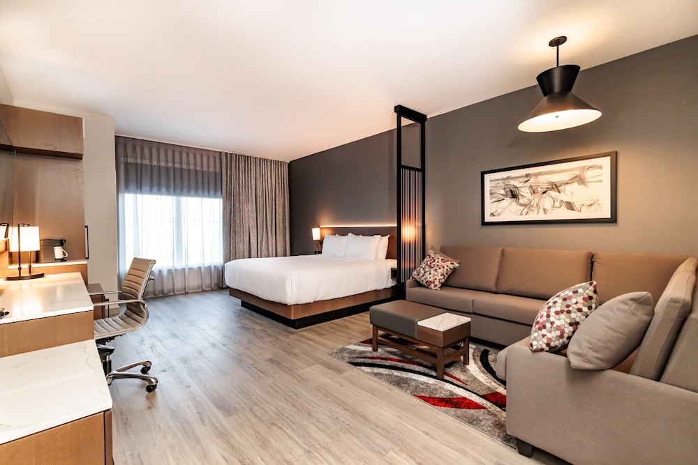Room, 1 King Bed with Sofa bed