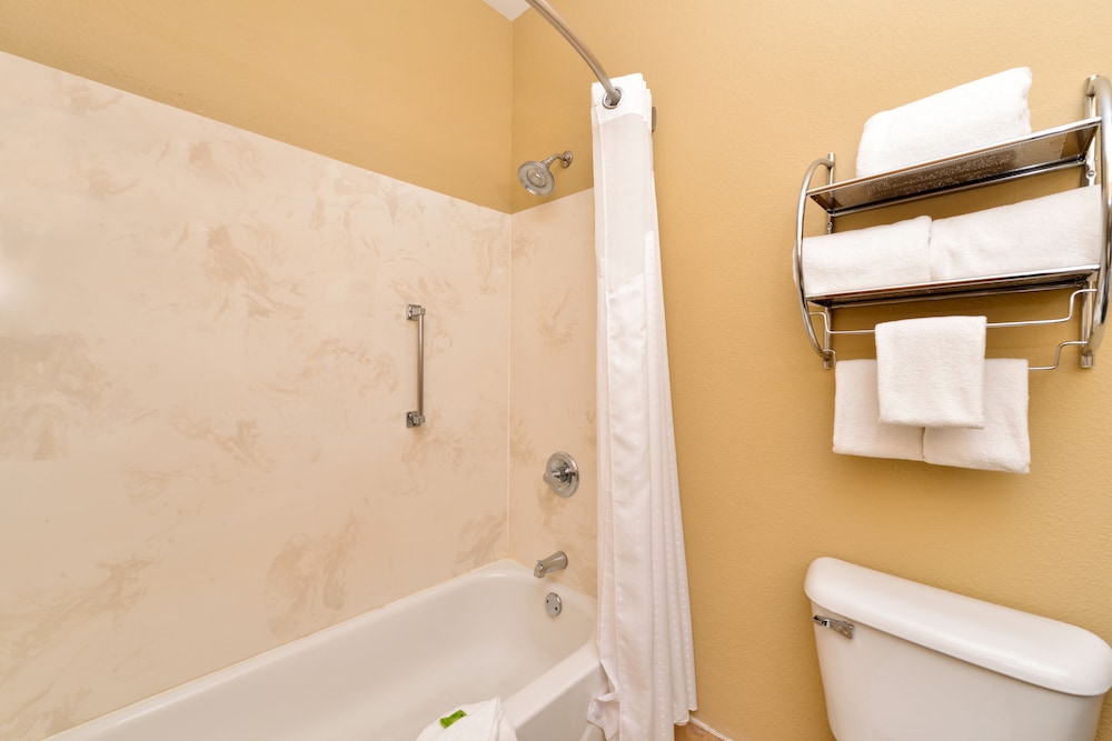 Suite, 1 King Bed, Accessible (Mobility)
