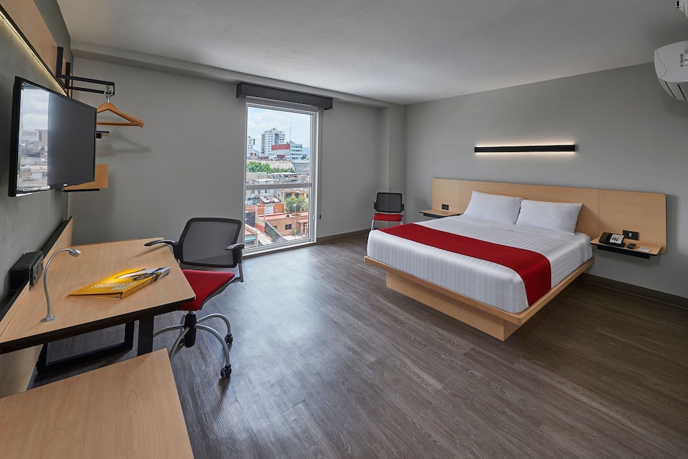 Suite, 1 King Bed with Sofa bed photo 2