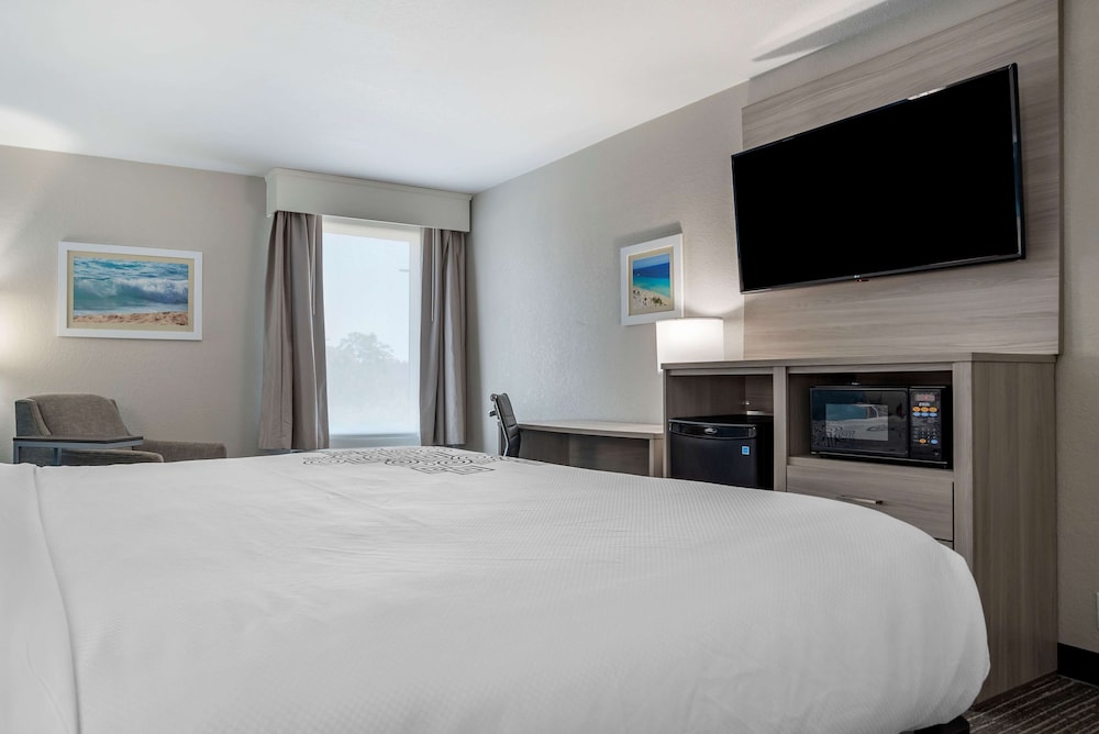 Standard Room, 1 King Bed, Non Smoking, Refrigerator & Microwave (Shower Only)