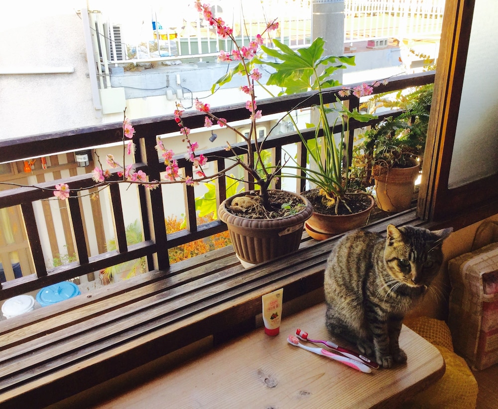 Japanese Style Shared Dormitory photo 2