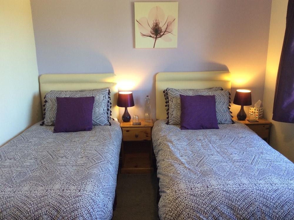 Deluxe Double or Twin Room, Non Smoking photo 3