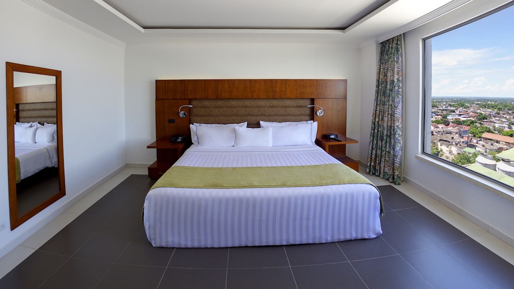 Single Room, 1 King Bed photo 2