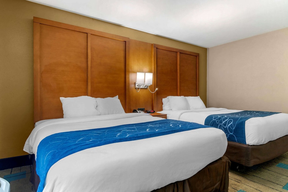 Suite, Multiple Beds, Accessible, Non Smoking - Photo 1