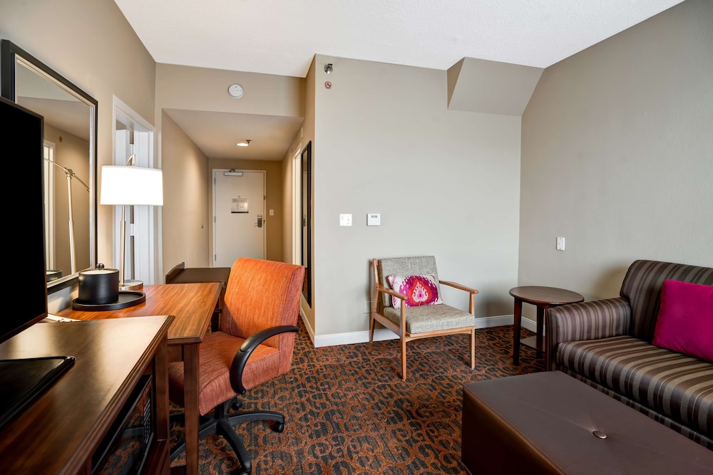Suite, 1 King Bed, Accessible, Non Smoking (Hearing Impaired) - Photo 4