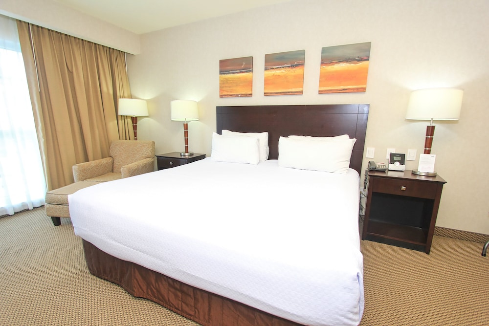 Suite, 1 King Bed - Photo 1