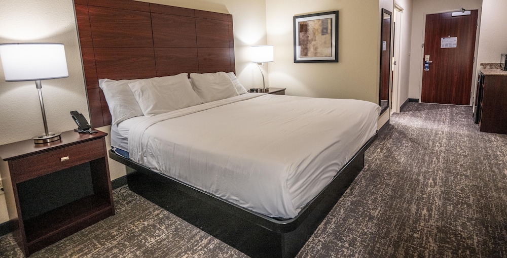 Room, 1 King Bed, Accessible, Non Smoking (Guestroom) - Photo 8