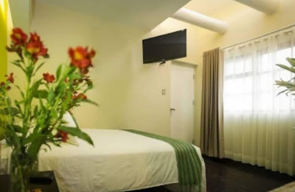 Comfort Room (Green Room) photo 1