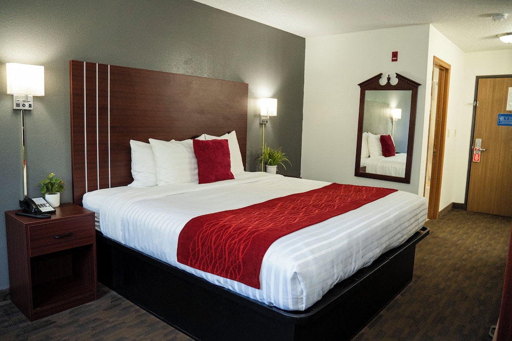 Comfort Room, 1 King Bed, Non Smoking (42 inch TV) - Photo 3