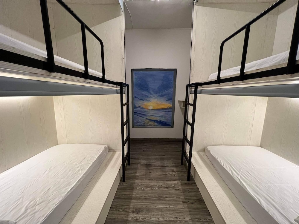 Comfort Shared Dormitory photo 1