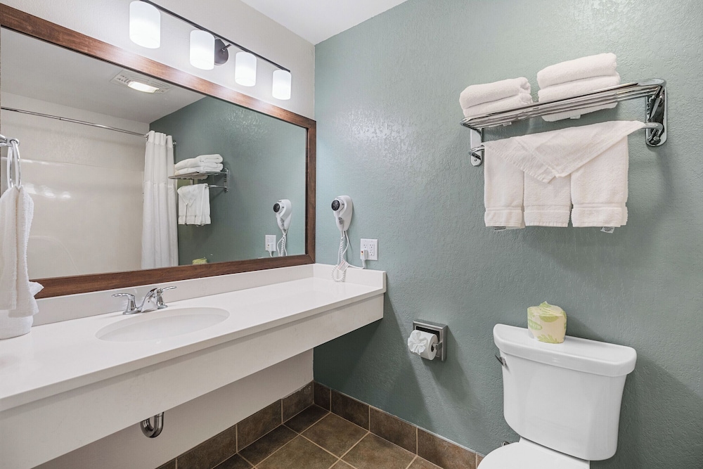 Suite, Multiple Beds, Non Smoking (Efficiency) photo 3