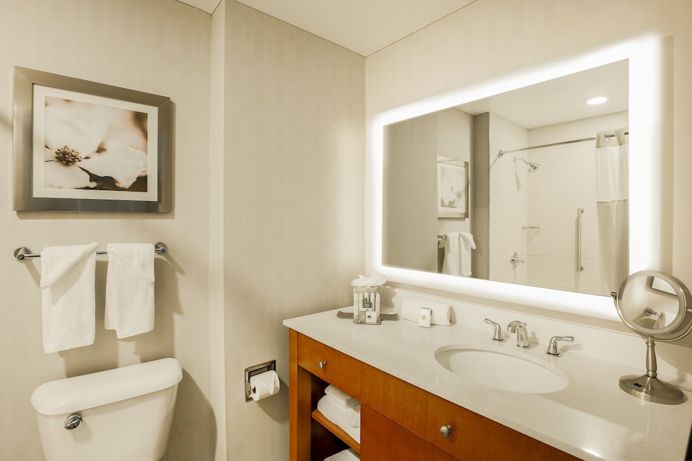 Room, 1 King Bed, Accessible, Bathtub - Photo 6